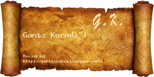 Gantz Kornél névjegykártya